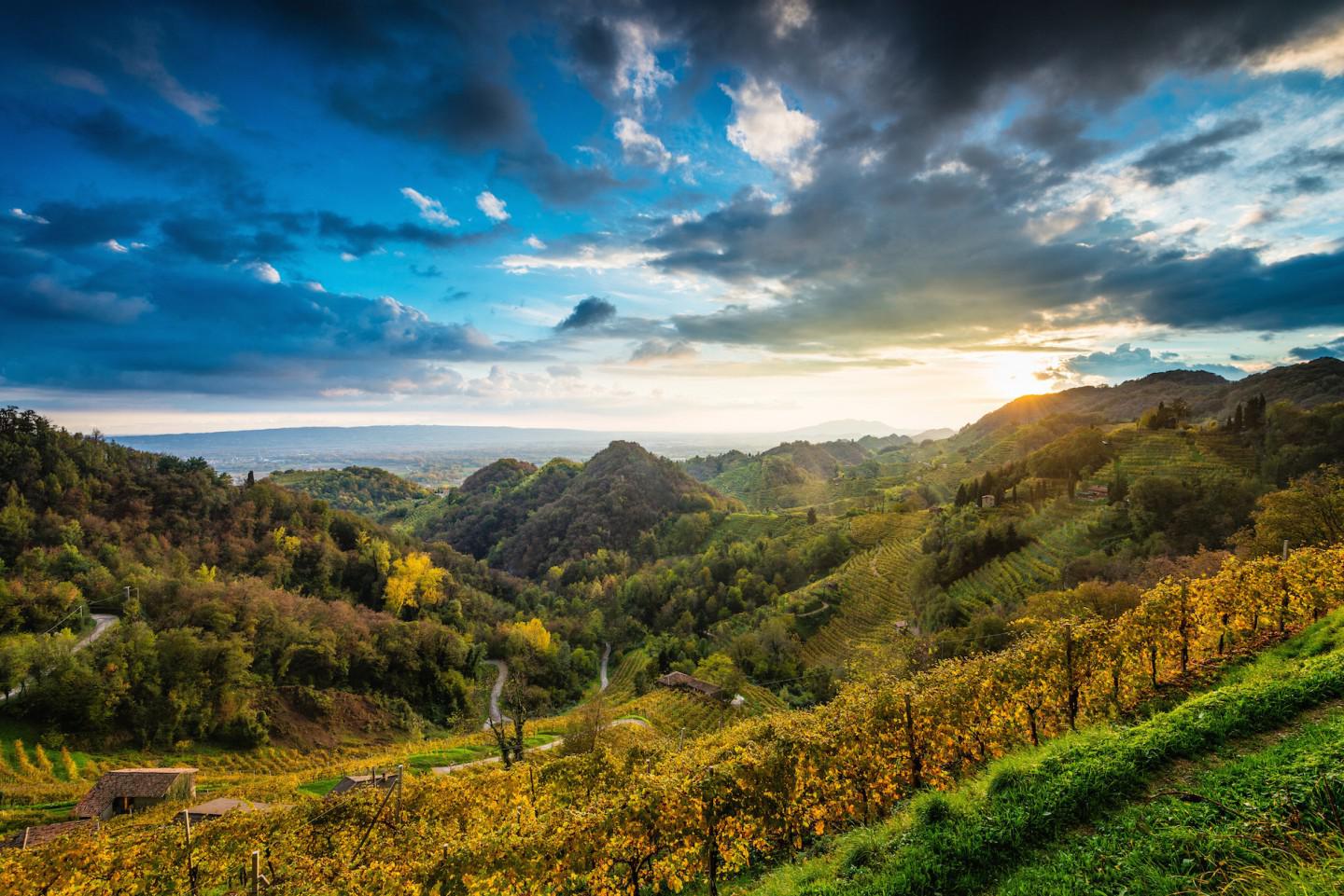 Conegliano Valdobbiadene Prosecco Sup. DOCG