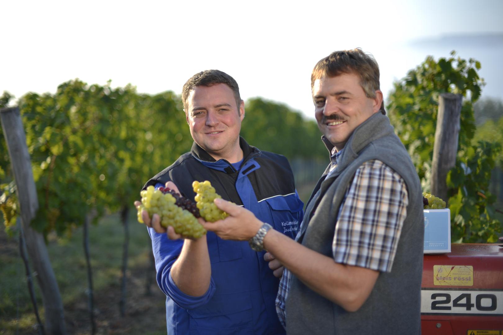 Winzerhof Familie Dockner