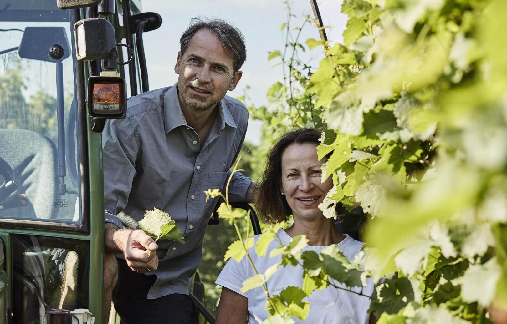 Weingut Ludwig Ehn