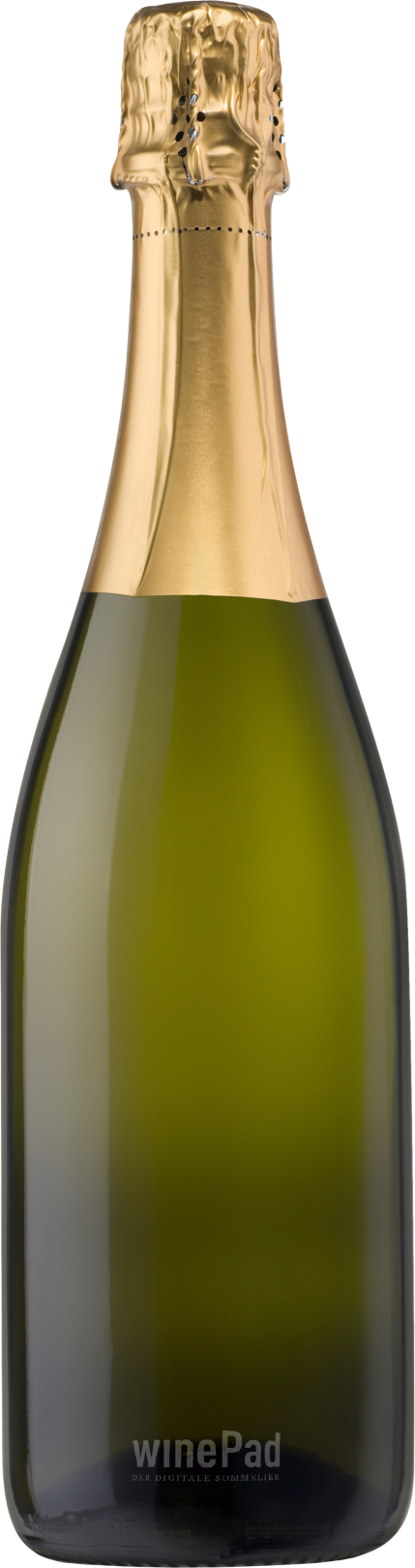 Schaumwein Schaumwein