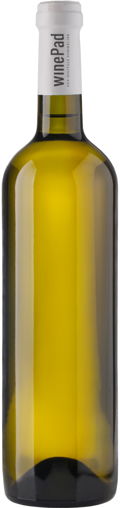 Weißwein Weißwein